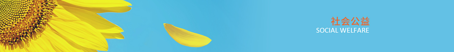 迪馬股份公益活動-迪馬實業(yè)